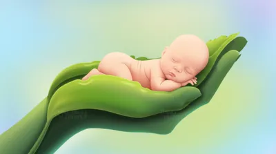 Illustration cradled - Image 1