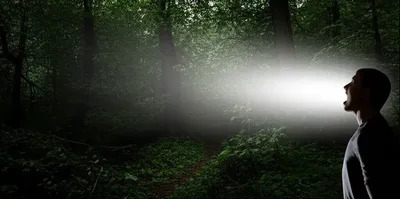 Illustration venturing - Image 1