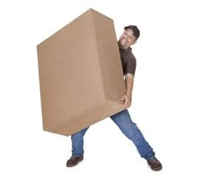 Illustration bulk - Image 2