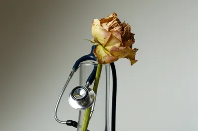 Illustration morbid - Image 1