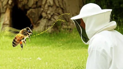 Illustration lined - Image 1