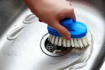 Illustration scrubbing - Image 1