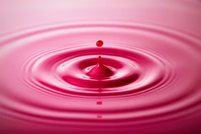 Illustration widespread