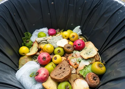 Illustration disgusting - Image 1