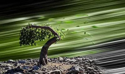 Illustration resists - Image 1