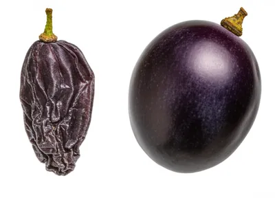 Illustration raisin