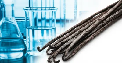 Illustration vanillin - Image 1