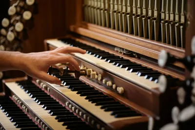 Illustration swells - Image 1