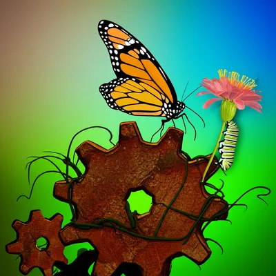 Illustration converted - Image 1