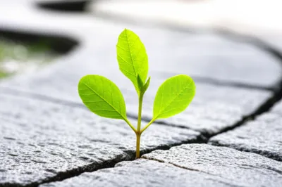 Illustration renew - Image 1