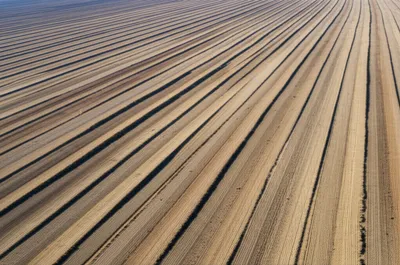 Illustration strips - Image 1