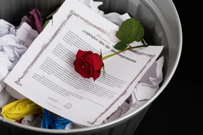 Illustration trashed - Image 1