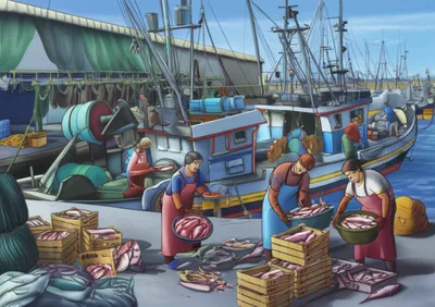 Illustration fishery - Image 1