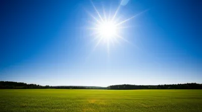 Illustration sunny - Image 1