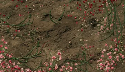 Illustration butchered - Image 1