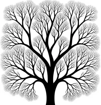 Hình ảnh minh họa ramification - Ảnh 1