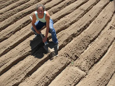 Illustration ditched - Image 1