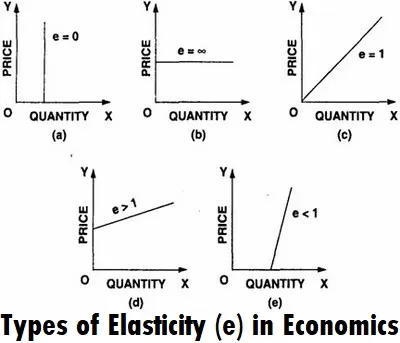 Illustration elasticity - Image 2