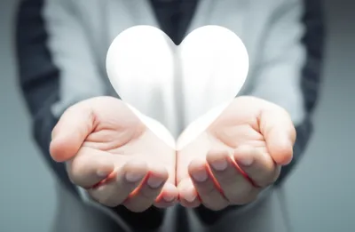 Illustration examine - Image 1