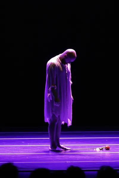 Illustration disgraces - Image 1