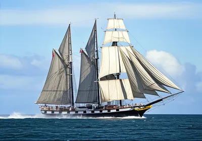 Illustration backing - Image 1