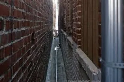 Illustration narrow - Image 2