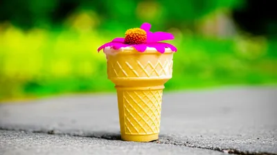 Illustration wack - Image 1