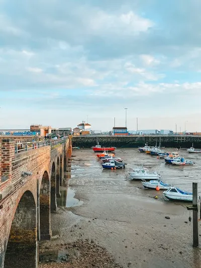 Illustration beached - Image 2