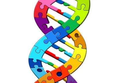 Illustration bases - Image 1