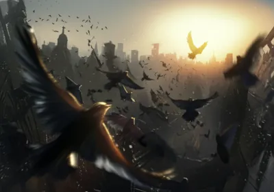 Illustration fleets - Image 1