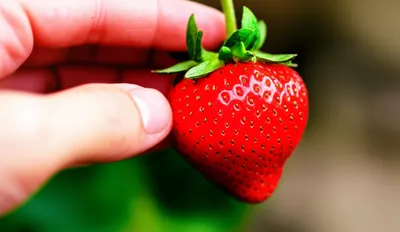 Illustration tasting - Image 1