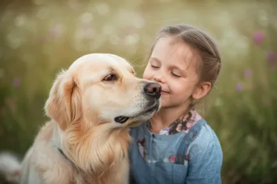 Illustration muzzled - Image 1