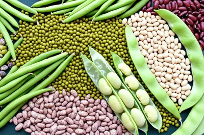 Illustration pea - Image 1