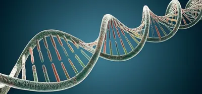 Illustration kilobase - Image 1