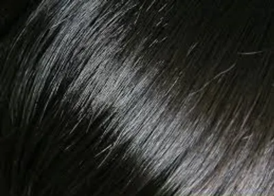 Illustration raven - Image 3