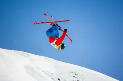 Illustration randy - Image 1