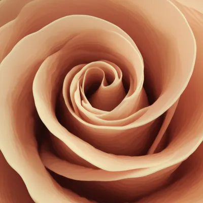 Illustration flour - Image 1