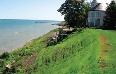 Illustration shelve - Image 2