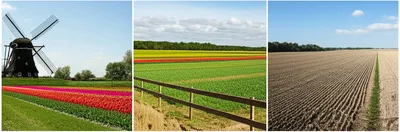 Illustration morgens - Image 1