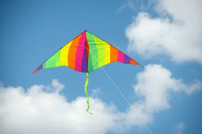 Illustration bridles - Image 1