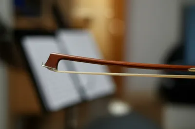 Illustration haired - Image 1