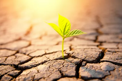 Illustration beginnings - Image 1