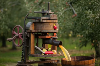 Illustration mills - Image 1