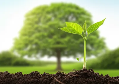 Illustration continuation - Image 1