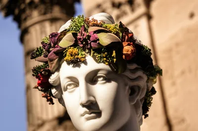 Illustration coronal - Image 1