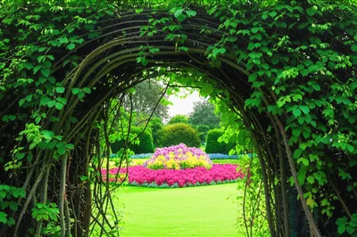 Illustration defenses - Image 1