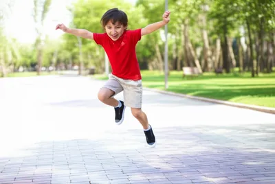 Illustration skip - Image 1