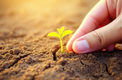 Illustration cures - Image 1