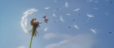 Illustration rode - Image 1