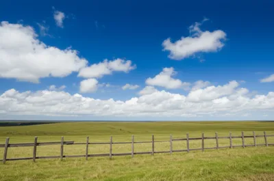 Illustration pallets - Image 1